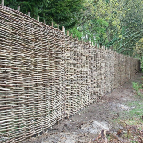 Hazel Hurdles Hazel Hurdles